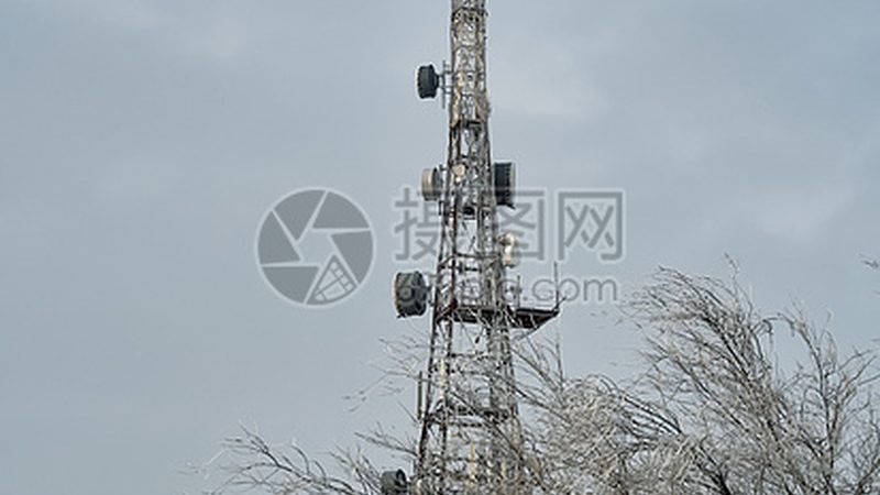 路由器交换机：网络架构的“中枢神经”**